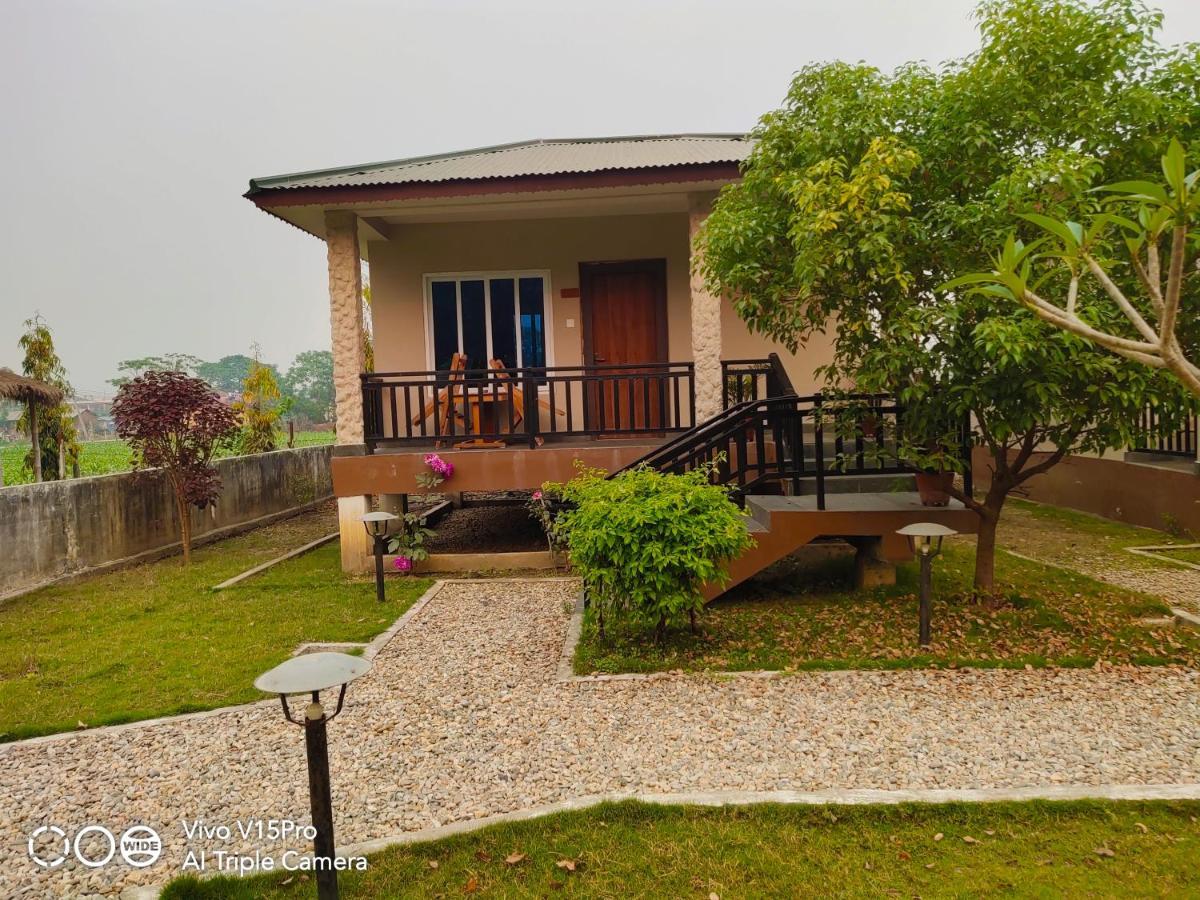Hotel Hornbill Sauraha Extérieur photo