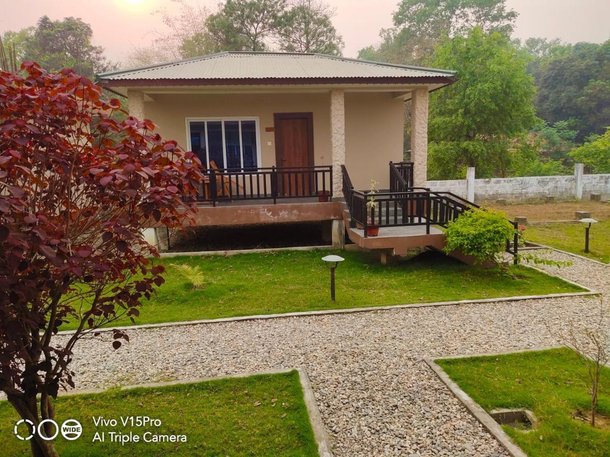 Hotel Hornbill Sauraha Extérieur photo