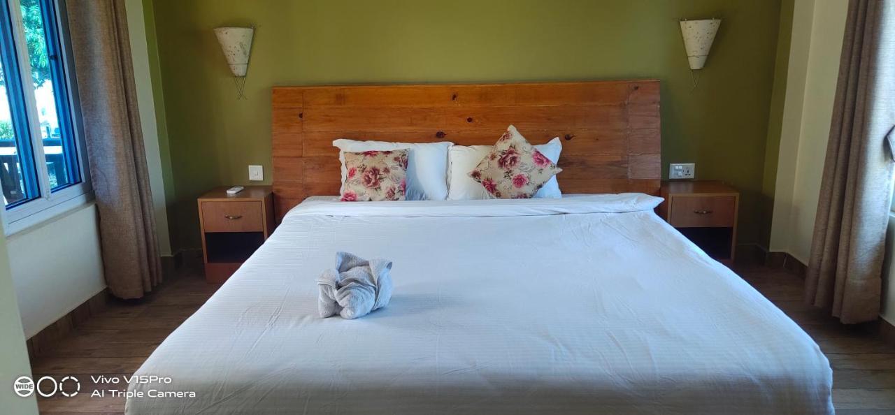 Hotel Hornbill Sauraha Extérieur photo