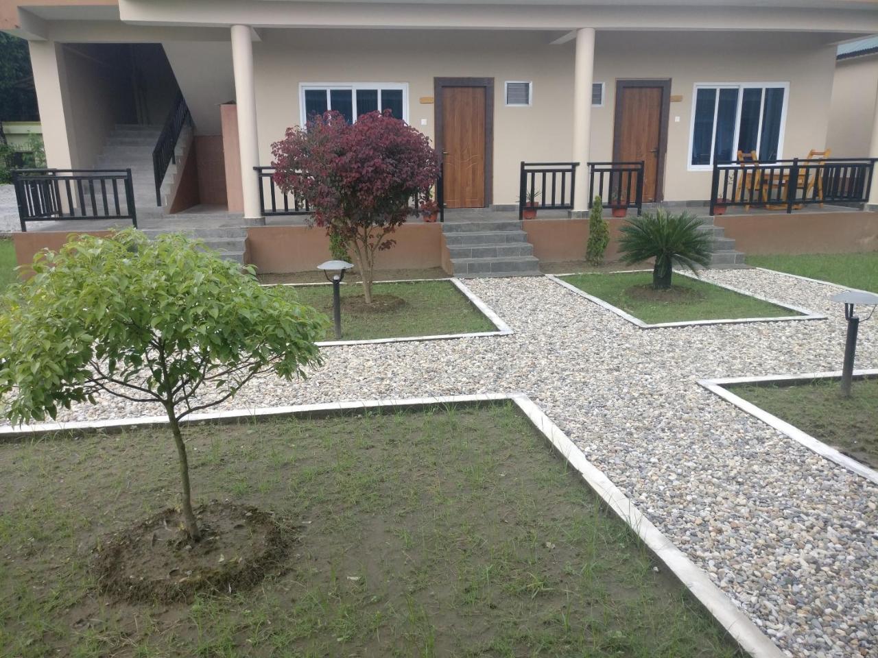 Hotel Hornbill Sauraha Extérieur photo