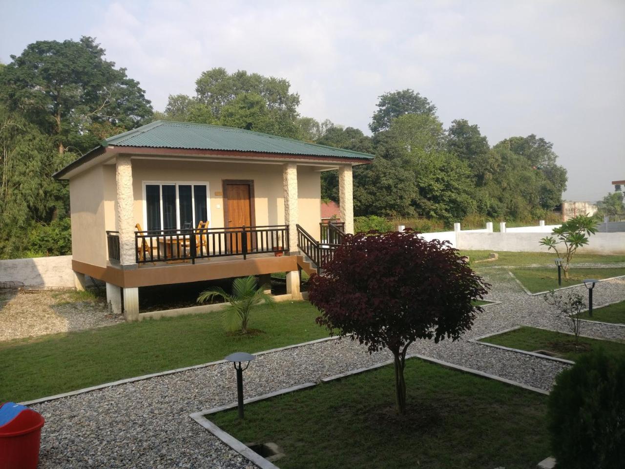 Hotel Hornbill Sauraha Extérieur photo