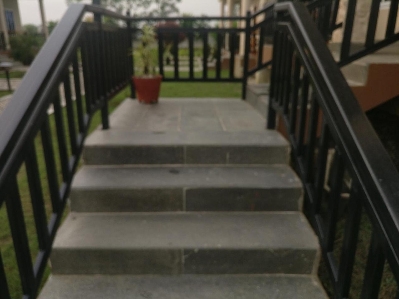 Hotel Hornbill Sauraha Extérieur photo